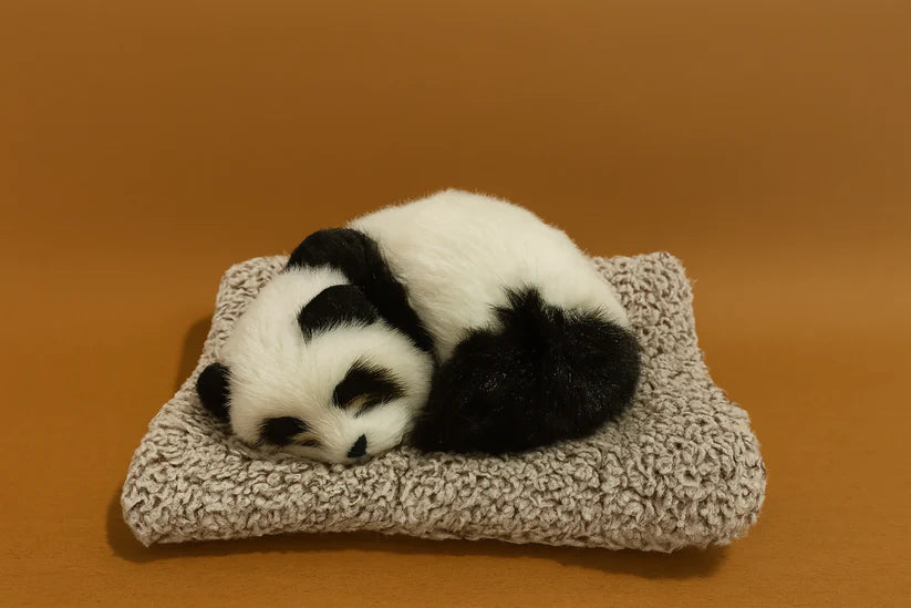 Sleeping Panda Plush on Knitted Cushion